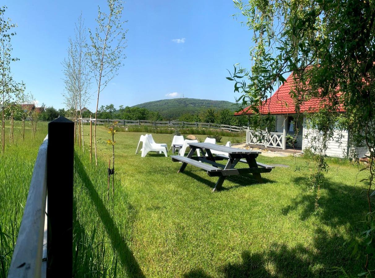Blizej Slezy Domki Pod Sleza Sulistrowice Extérieur photo